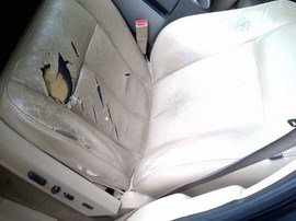 2011 FORD EXPEDITION, XLT MODEL, 5.4L, AT 2WD,  F26307